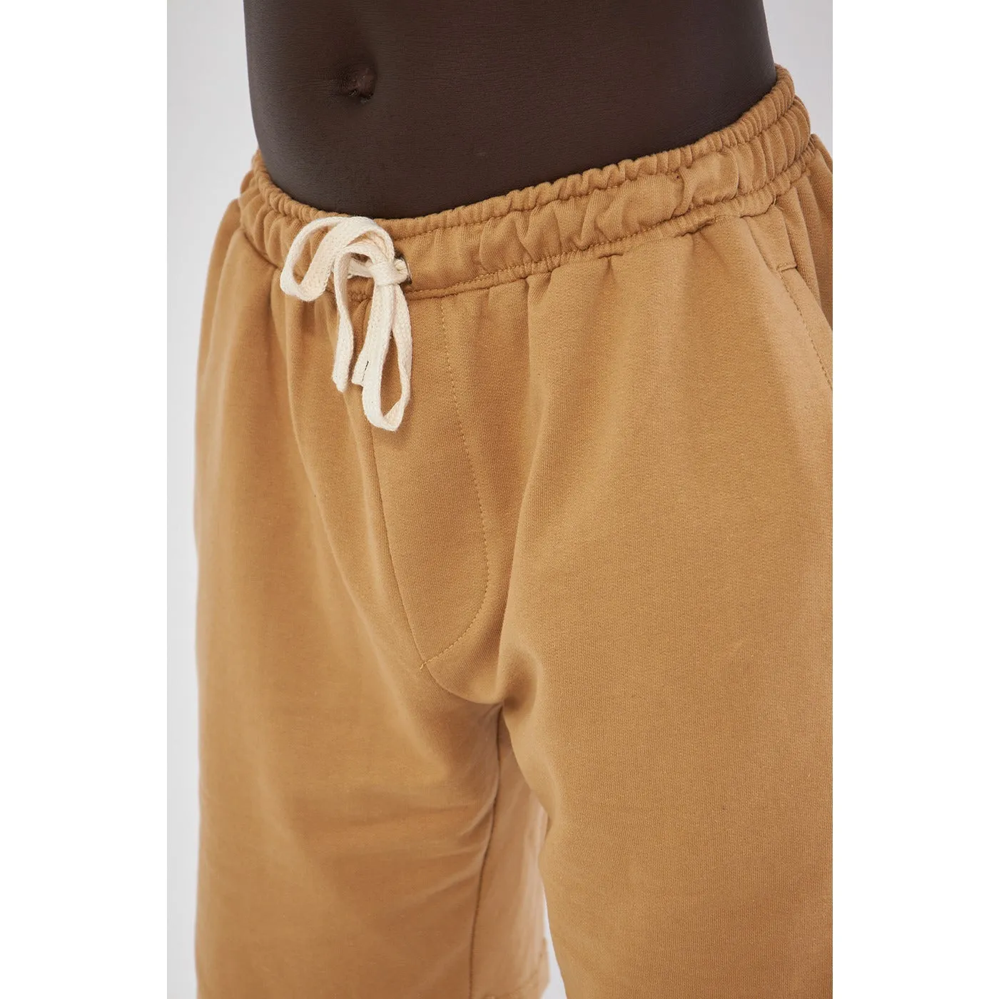 Camel Relaxed Fit Shorts