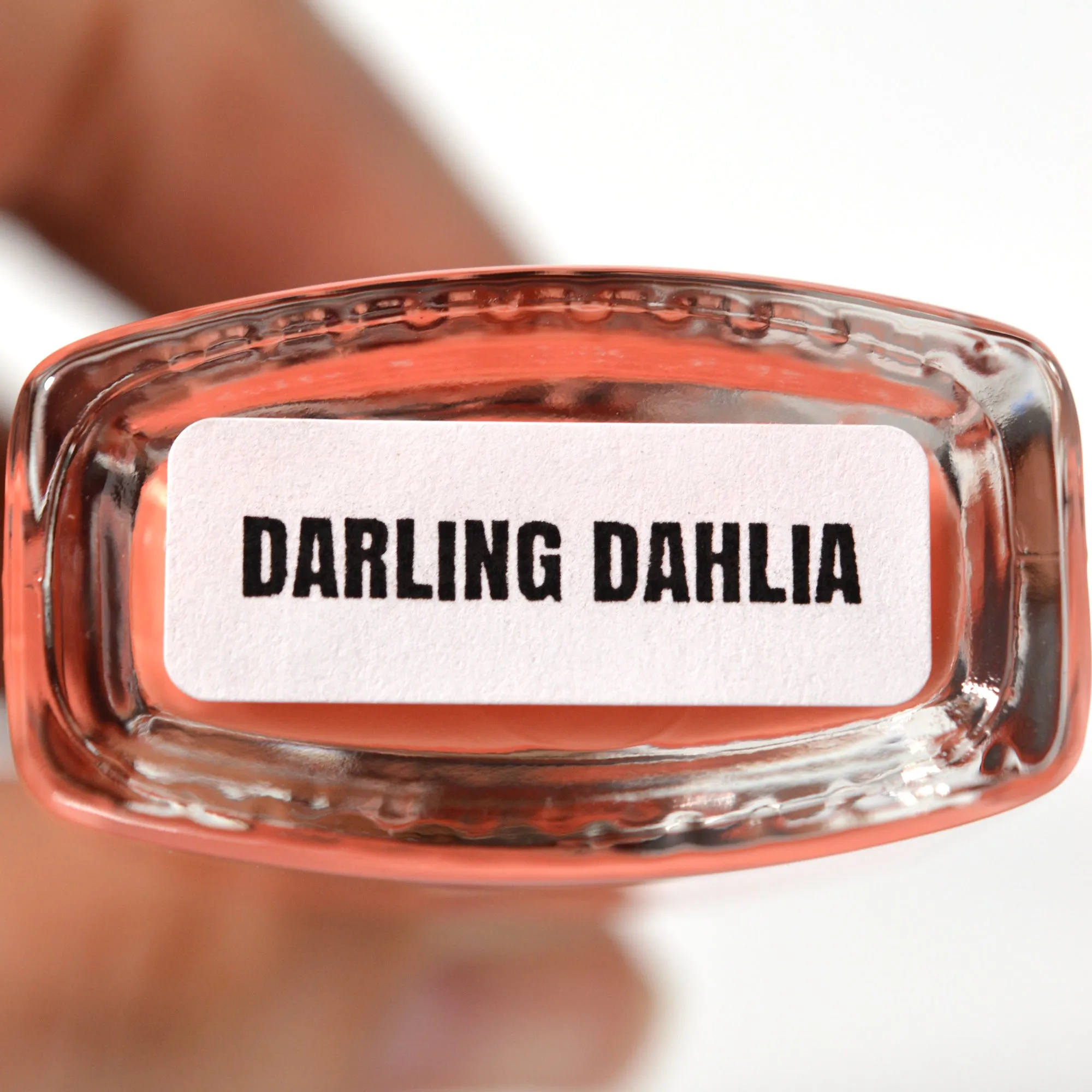 Darling Dahlia